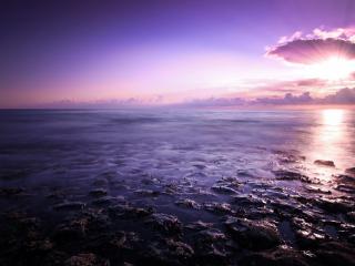обои Каменистый берег моря,   солнце сквозь облака,   закат фото