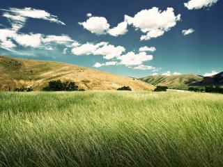 обои Зеленое поле высокой травы,   холмы,   облака фото