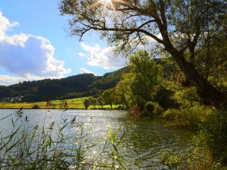 обои Летнее озеро в хороший солнечный день,   у городка фото