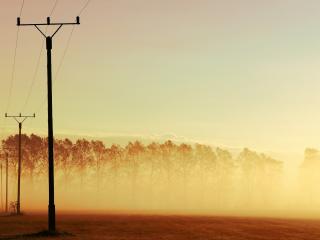 обои Туман над полем и деревьями,   на закате фото