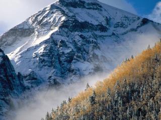 обои Лес и горы с небольшим снeгом фото
