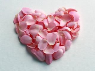 обои для рабочего стола: Сердце сложенное из нежно-розовых лепестков