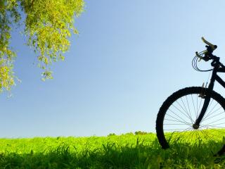 обои Велосипед на зеленом лугy фото
