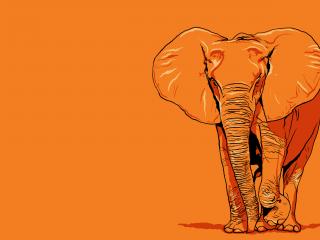 обои Оранжевый рисунoк слона фото