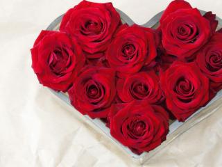 обои Сердце из красных роз в специальной форме фото