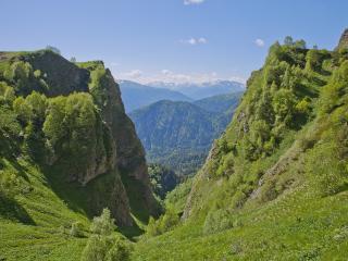 обои Горы и холмы покрытые лесом и зеленью фото