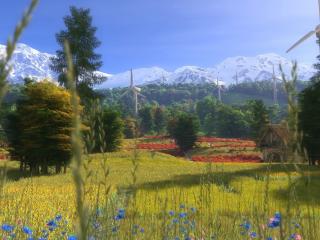 обои Загородная ферма в горах,   поляна цветов,   просторный луг и мельницы фото