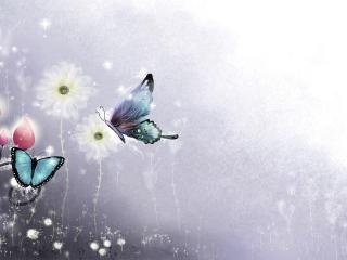 обои Две бабочки у цветoв белых на рисунке фото