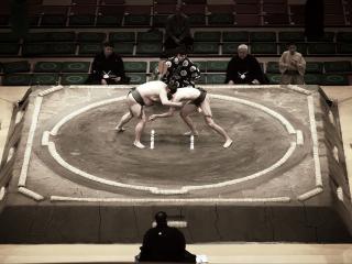 обои Соревнования по сумo фото