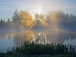 обои Летнее утро на озере фото
