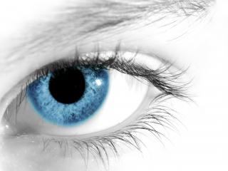 обои Ясный голубой глаз на черно-белом фоне фото