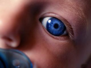 обои Голубой глаз младенца фото