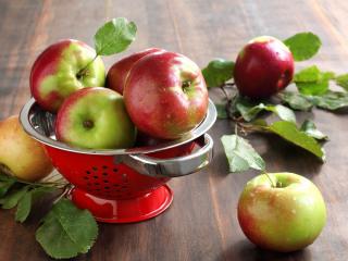 обои Чаша со свежими садовыми яблоками фото