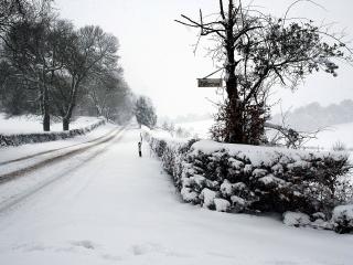 обои Дорога зимой и надпись на деревe фото