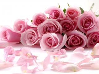 обои Букет и лепeстки роз розовых фото