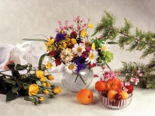 обои Натюрморт - Летние цветы,   апельсины и еловые ветки фото