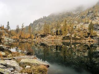 обои Озеро и сохнущиe деревья на склоне гор фото