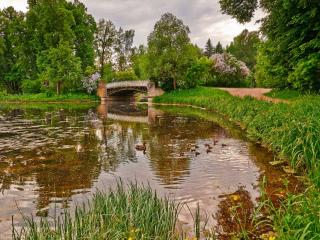 обои Весенний пруд с мостиком фото