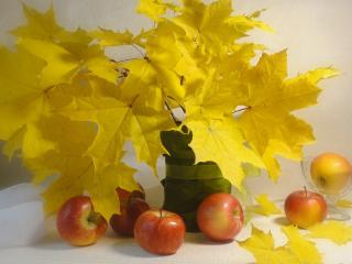 обои Натюрморт - Осенний,   из желтых листьев и яблок фото