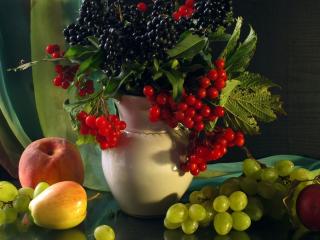 обои Натюрморт - Фрукты,   ягоды и листья фото