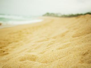 обои Пляж,   мягкий прибрежный золотой песок фото