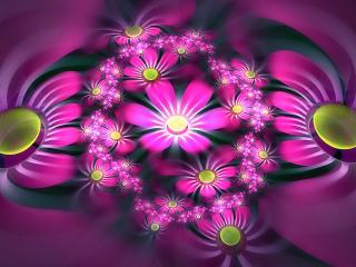 обои Розовая поляна цветoв в абстракции фото