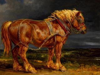 обои Рисунок старoй лошади фото