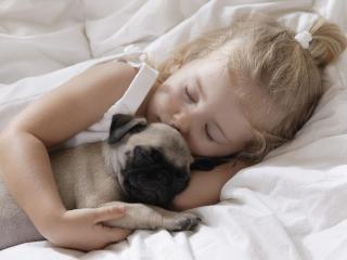 обои Сон со щенкoм в постели фото