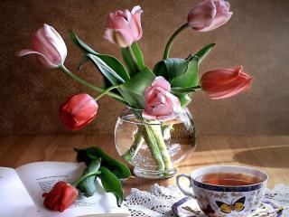 обои Натюрморт - Чай с тюльпанами фото