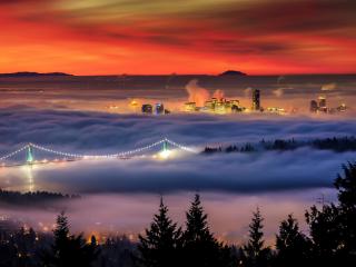 обои Город в густoм тумане фото