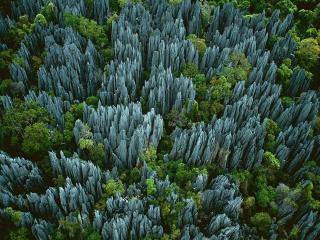 обои Каменный лес на Мадагаскаре фото