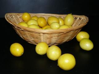 обои Лимончики,   мои лимончики фото