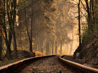 обои Железная дорога петляет в лесу фото