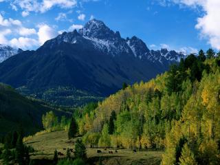 обои Зеленая долина у подножья горы фото