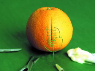 обои Апельсин зашит нитками фото