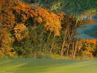 обои Осень в пруду фото