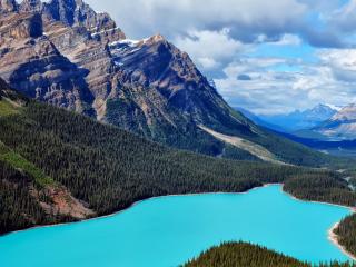 обои Голубое озеро у подножия хвойной горы фото