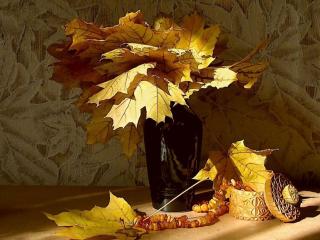 обои Натюрморт - Солнце и листья клена фото