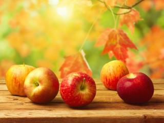 обои Пять спелых яблок на скамейке фото