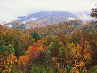 обои Осень в горах фото