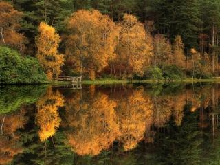 обои Пруд Гленко-Лохан осенью, Шотландия фото