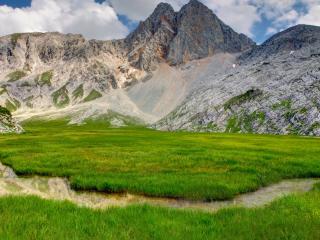 обои Весенний ручей в горах,   среди свежей травы фото