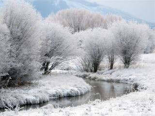 обои Зимний ручей,   среди травы и деревьев покрытых снегом фото
