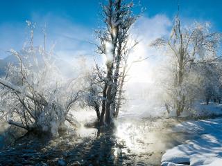 обои Зимний ручей в солнечном свечении фото