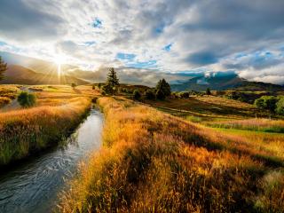 обои Летний ручей на закате,   в золотом поле фото