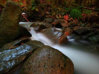 обои Осенний ручей и мокрые камни,   крупным планом фото