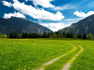 обои Дорога и цветущая зеленая поляна между гор фото