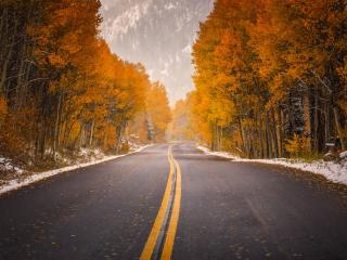 обои Дорога поздней осенью фото