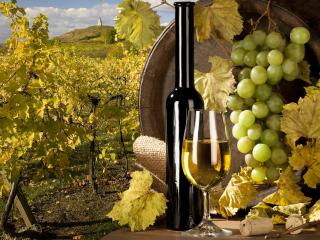 обои Белое вино и виноград фото