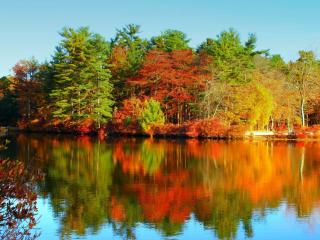 обои Многоцветная осень на озере фото